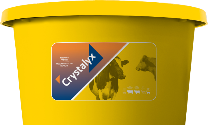 CRYSTALYX Energy Booster (Gelb)